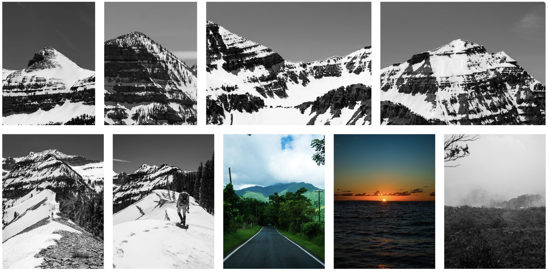 Landscape 8
